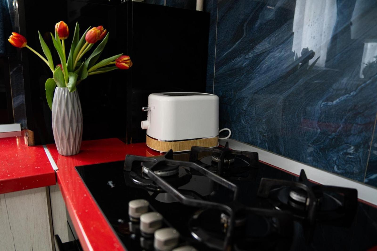 Easy Stay Maurer Residence Târgu-Mureş Exteriör bild